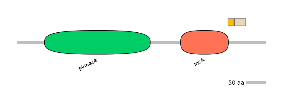 MmuALTA0005575-2_2-INC