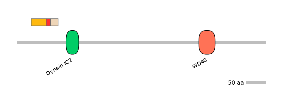 MmuALTA0005945-2_3-INC