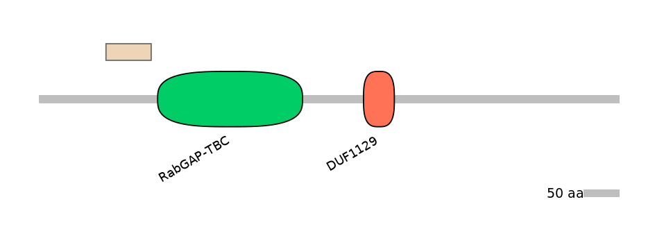MmuALTA0006635-1_2-EXC