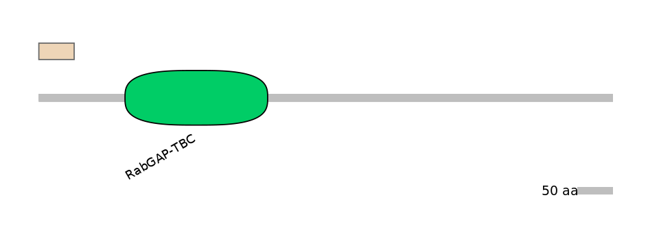 MmuALTA0006636-1_2-EXC