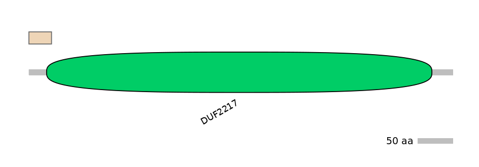 MmuALTA0006957-1_2-EXC