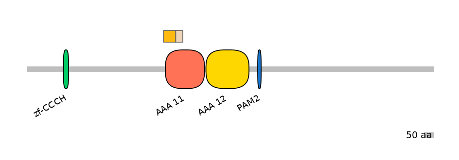 MmuALTA0008530-1_2-EXC