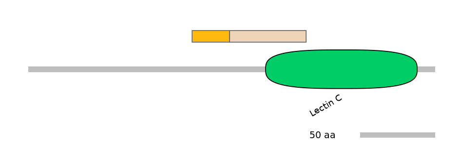 MmuALTA0009770-1_2-EXC