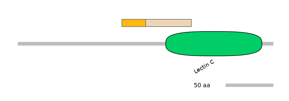 MmuALTA0009770-2_2-EXC