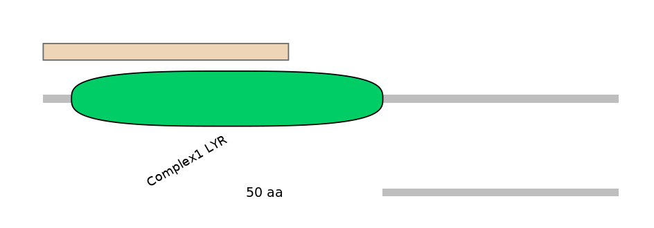 MmuALTA0010382-1_2-INC