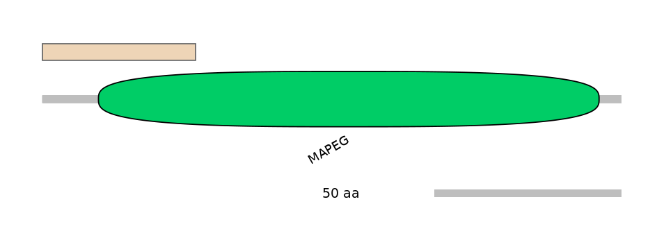 MmuALTA0010929-1_2-EXC
