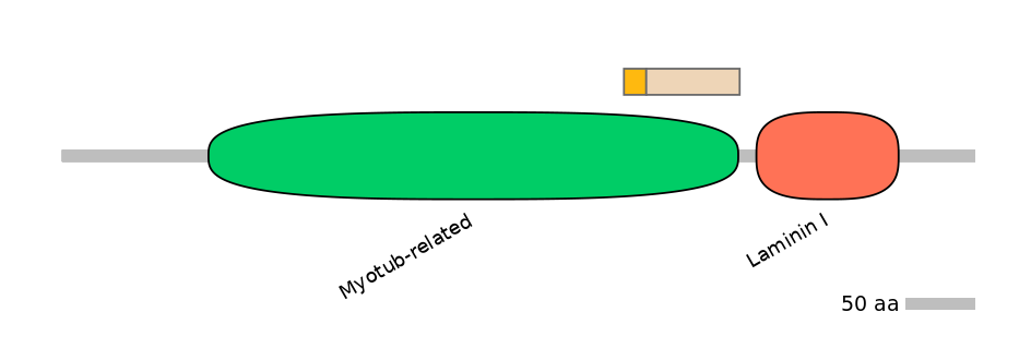 MmuALTA0011428-1_2-EXC