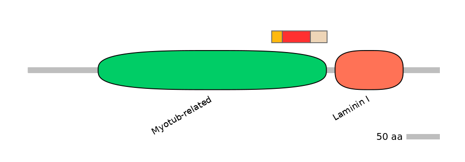 MmuALTA0011428-2_2-INC