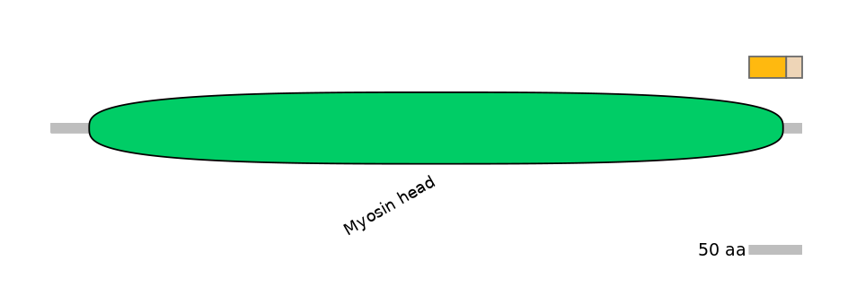 MmuALTA0011556-2_2-EXC