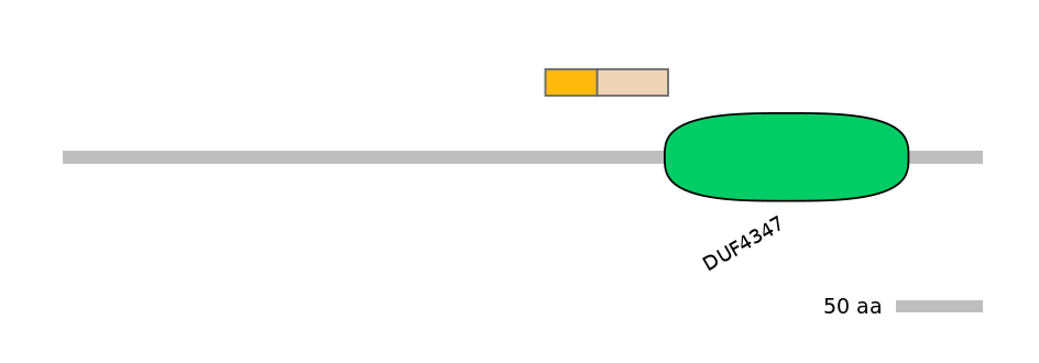 MmuALTA0011956-1_2-EXC