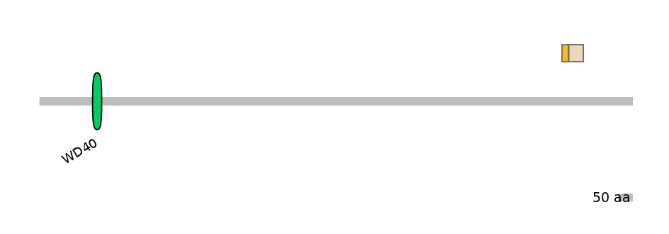 MmuALTA0012426-1_2-INC