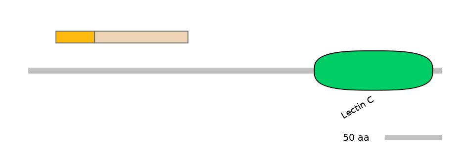 MmuALTA0012538-1_2-EXC