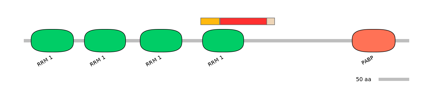 MmuALTA0012659-5_5-EXC
