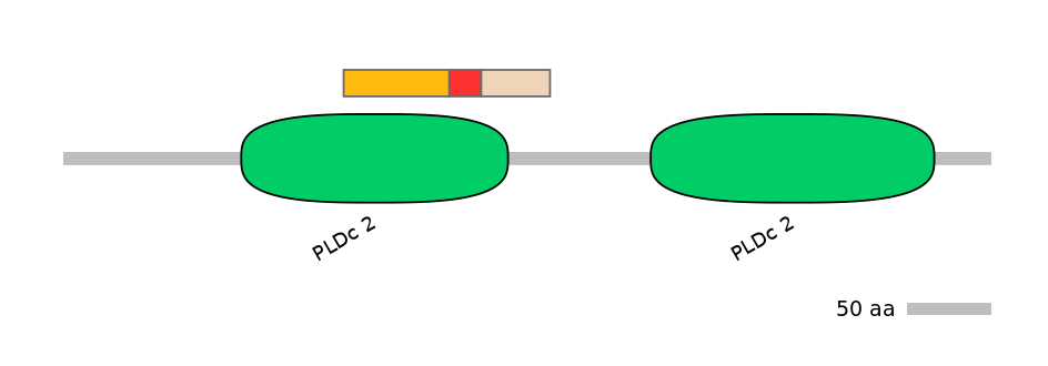 MmuALTA0013124-2_2-INC