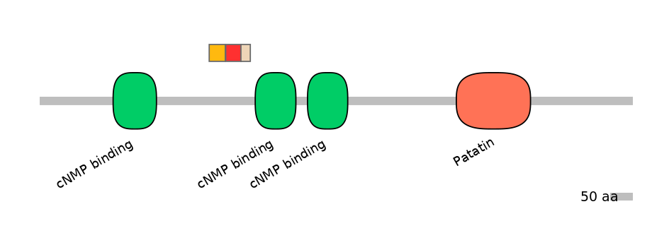 MmuALTA0013653-4_4-INC