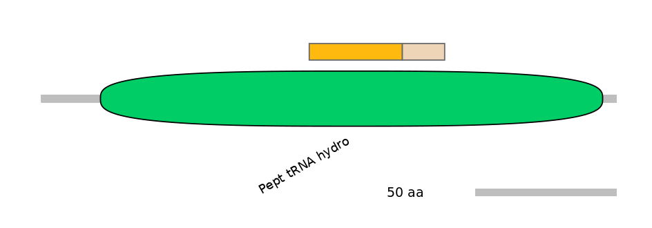 MmuALTA0014565-2_2-EXC