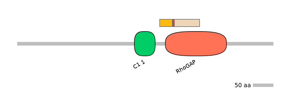 MmuALTA0014748-2_2-EXC