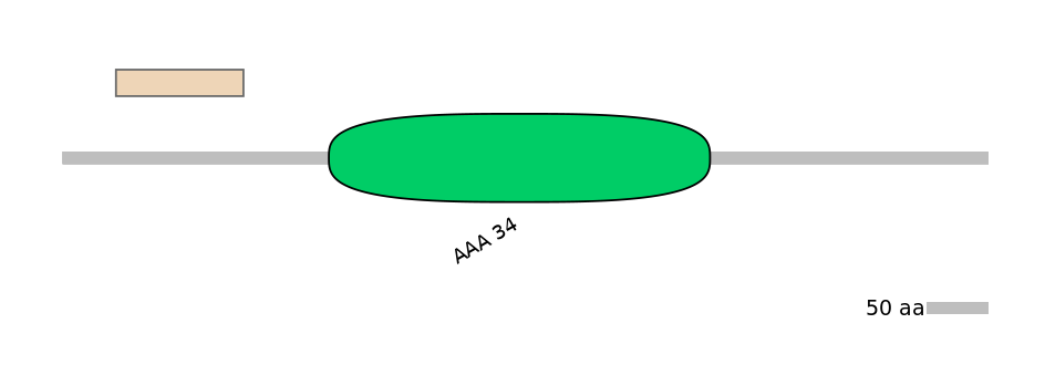 MmuALTA0015863-2_2-EXC