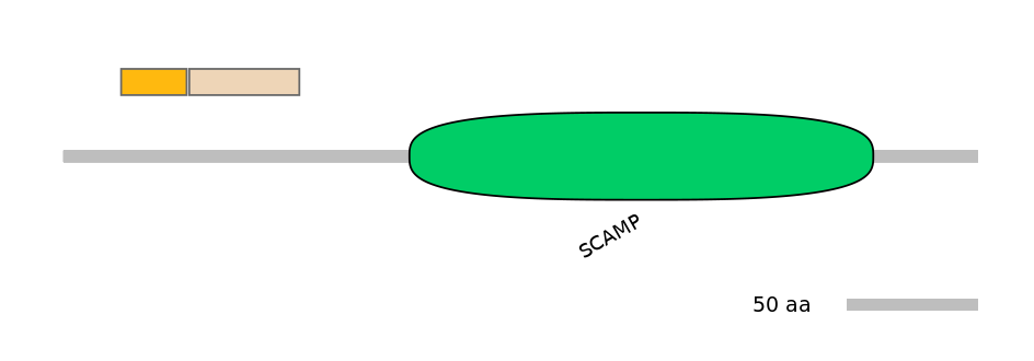 MmuALTA0015886-2_2-EXC