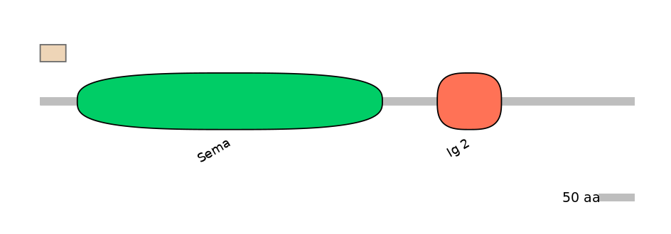 MmuALTA0016087-1_2-EXC