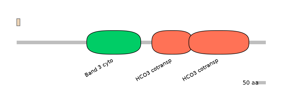 MmuALTA0016747-1_2-EXC