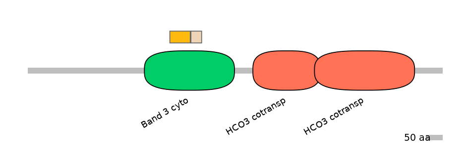 MmuALTA0016748-3_3-EXC