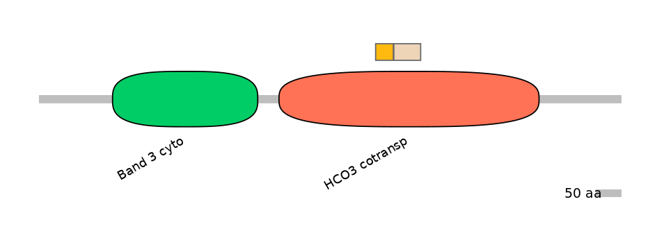 MmuALTA0016754-1_3-EXC