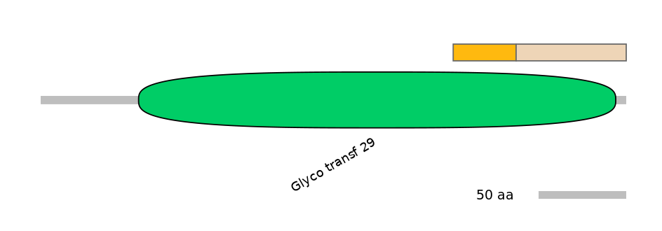 MmuALTA0017398-1_2-EXC