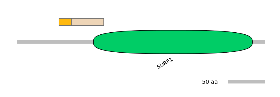 MmuALTA0017625-3_4-EXC