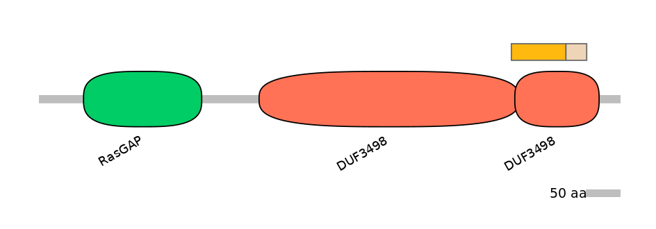 MmuALTA0017684-1_2-INC