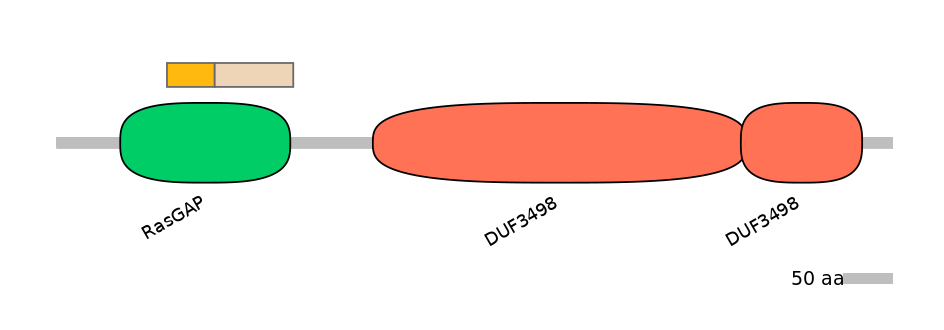 MmuALTA0017686-2_4-EXC