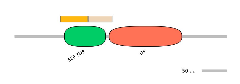 MmuALTA0018106-2_2-EXC