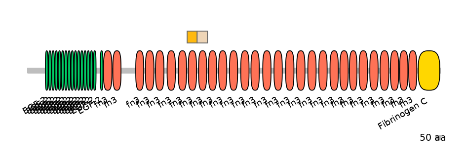 MmuALTA0018611-2_2-EXC
