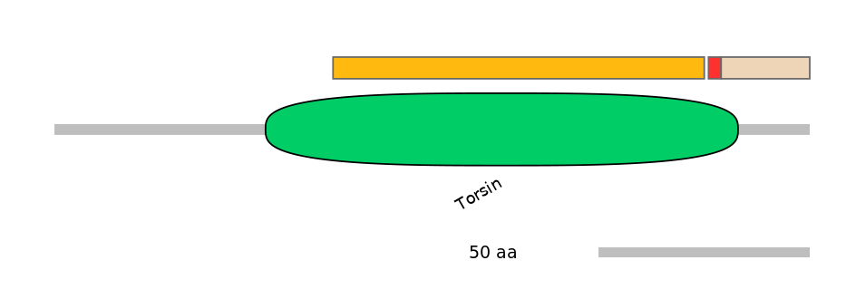 MmuALTA0018670-2_2-INC