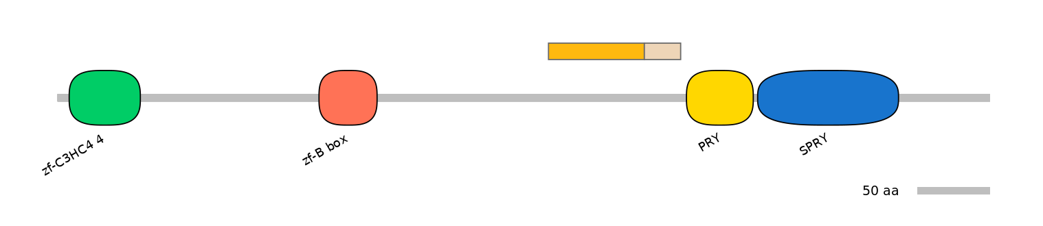 MmuALTA0018843-1_2-EXC