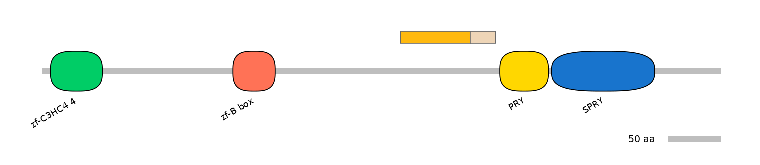 MmuALTA0018843-2_2-EXC