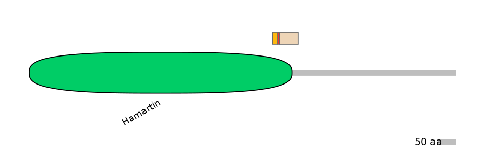 MmuALTA0018988-2_2-INC
