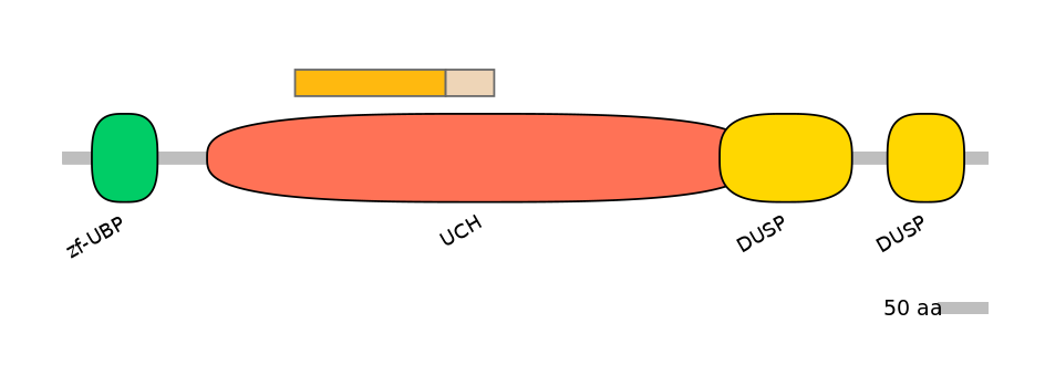MmuALTA0019597-1_2-EXC