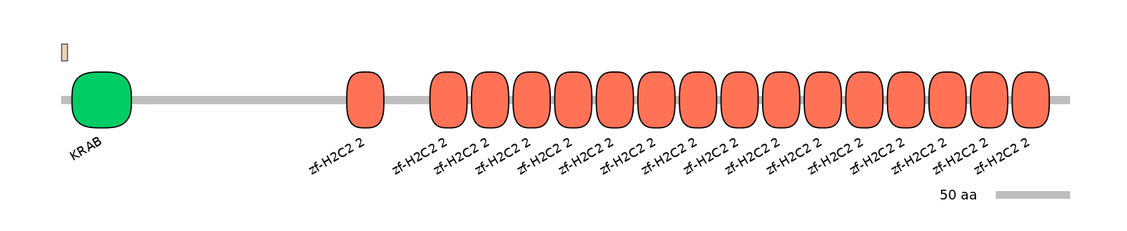 MmuALTA0020737-1_2-EXC