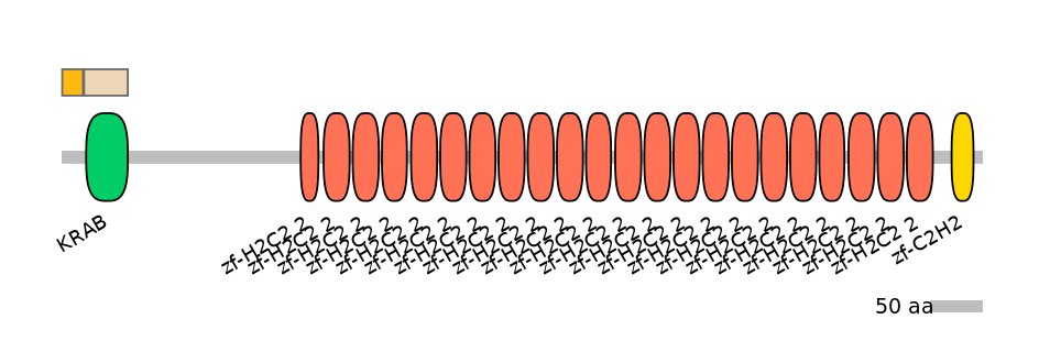 MmuALTA0020752-2_2-EXC