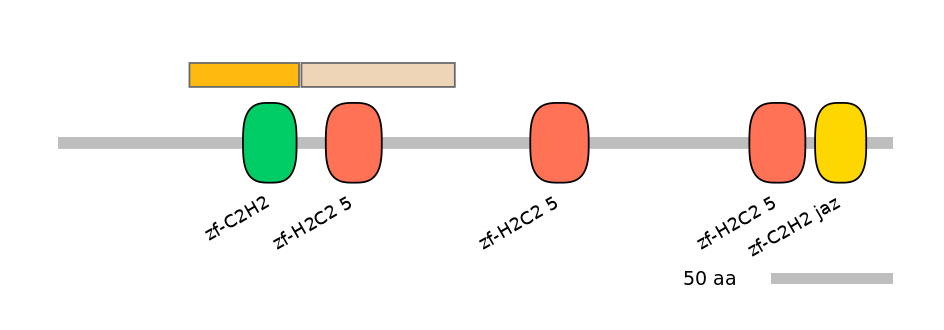 MmuALTA0020766-1_2-EXC