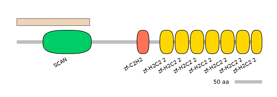 MmuALTA0020912-1_2-INC