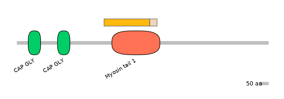 MmuALTD0003270-2_2-EXC