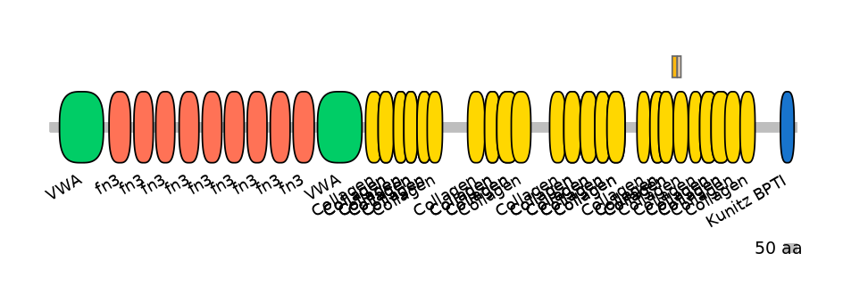 MmuALTD0003438-1_2-EXC