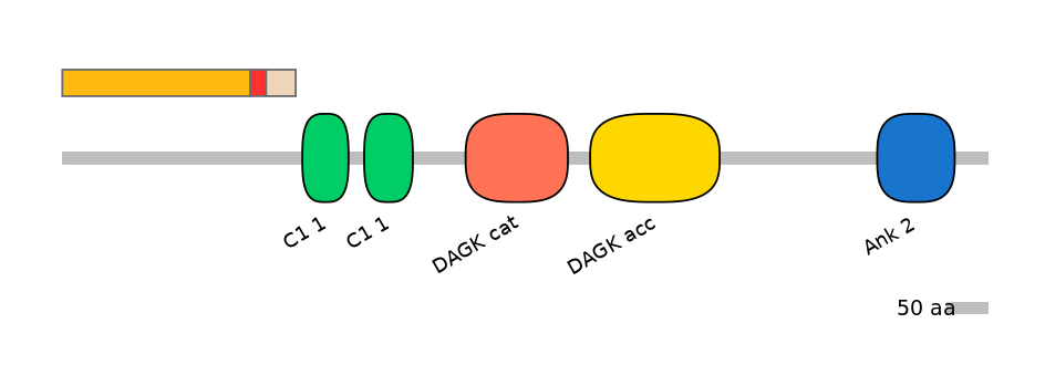 MmuALTD0004202-3_3-EXC
