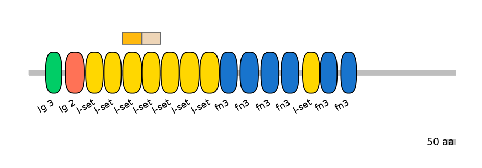 MmuALTD0004489-2_2-INC