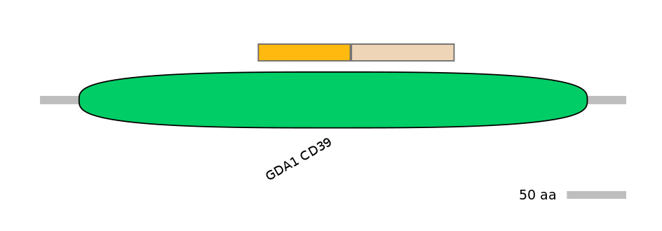 MmuALTD0004902-1_2-EXC
