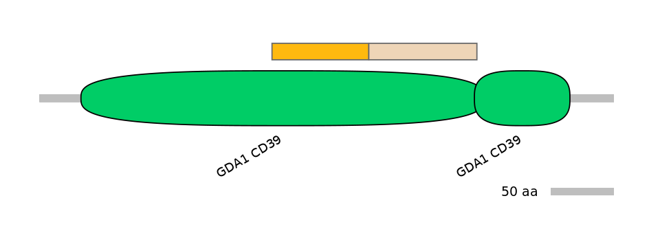 MmuALTD0004902-1_2-INC