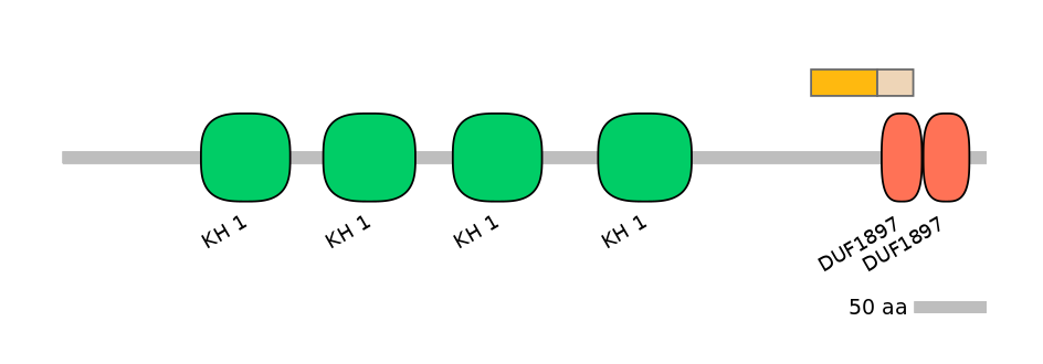 MmuALTD0005693-1_2-EXC