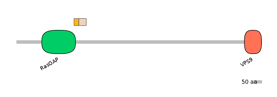 MmuALTD0005788-1_2-INC